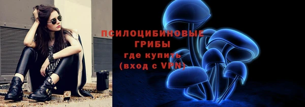 марки lsd Богородицк