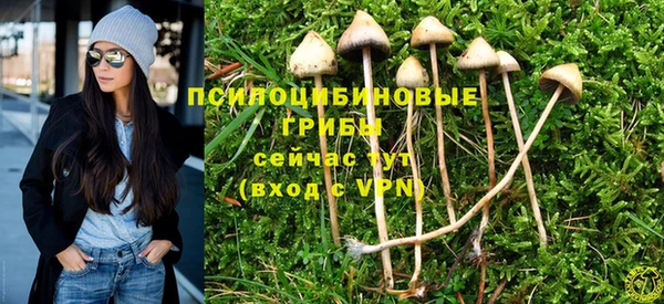 марки lsd Богородицк