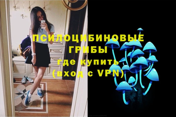 марки lsd Богородицк